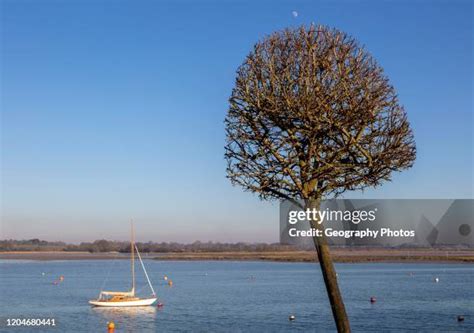 17 Waldringfield Suffolk Stock Photos, High-Res Pictures, and Images ...