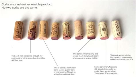 Why corks matter when storing wine - Planet Wine