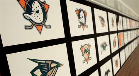 Branding the Anaheim Ducks — Fanbrandz