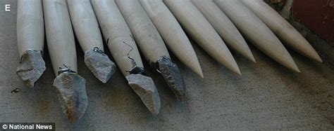 Stone Age spears were as lethal as BULLETS | Daily Mail Online