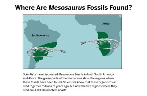 Earth's Outer Layer/Mesosaurus Fossils - Quizizz