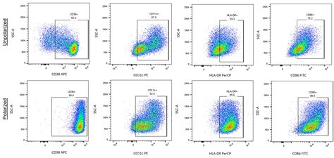 M2 Macrophage Flow Cytometry Panel FMC-P-007: R&D Systems