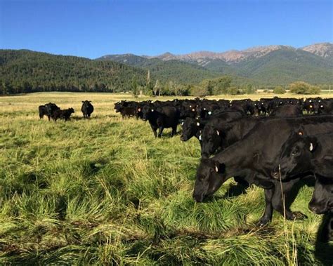 Ranch for sale in Oregon! This Beautiful Cattle Ranch and Home sits in the Baker Valley up ...