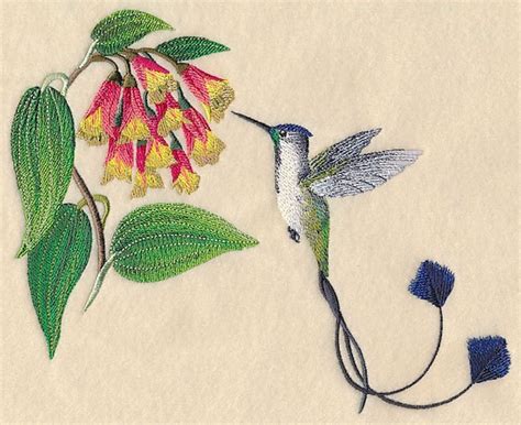 MARVELOUS SPATULETAIL HUMMINGBIRD Machine Embroidery Quilt | Etsy