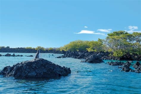 Isla Isabela de Galápagos