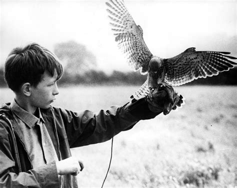 Blu-ray: Kes | The Arts Desk