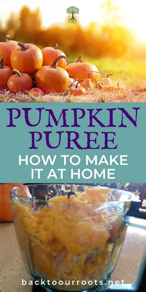 How to Make Your Own Way-Better-Than-Canned Pumpkin Puree