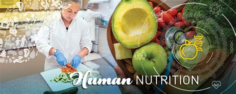 Human Nutrition | Agricultural, Food & Nutritional Science