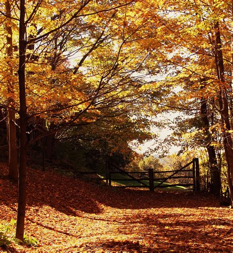 Vermont’s fall foliage shines in these vibrant pictures