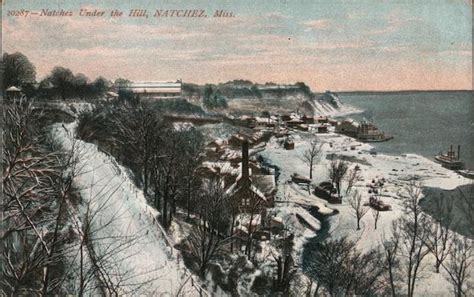 Natchez Under the Hill Mississippi Postcard