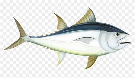 Fish Sea Tuna Underwater Water Ocean Animal - Tuna Fish Cartoon Png ...