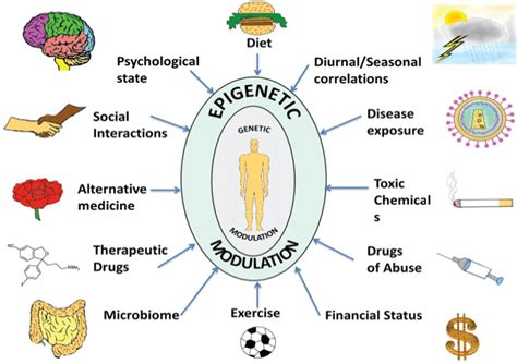 Bioengineering and Healthcare: Approaches for Understanding the Relation between Epigenetics ...