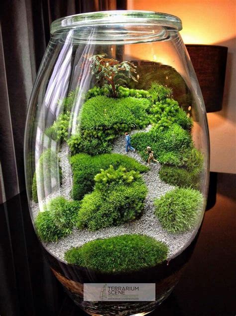 a fish bowl filled with moss and rocks