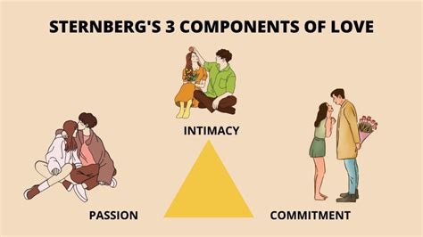 Sternberg’s Triangular Theory of Love - Psychopedia - Psychology ...