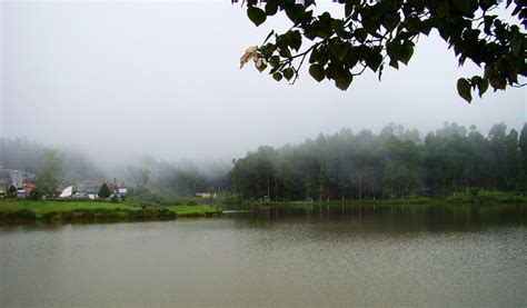 Mirik Lake, Darjeeling, West Bengal Tourism 2021| Places to visit in Mirik Lake, Things to do ...