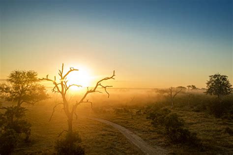 5 Day Kruger National Park & Sabi Sands Safari Combination Guided Tour