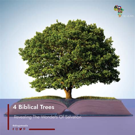 4 Biblical Trees That Reveal The Wonders Of Salvation – Afro Gist Media