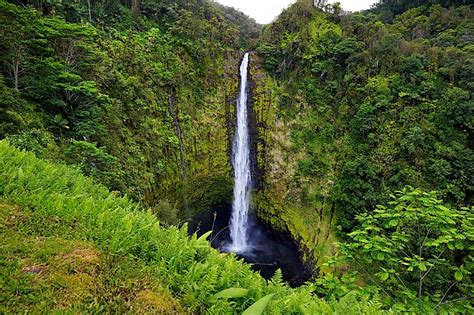 ʻAkaka Falls State Park, Hawaii - WorldAtlas