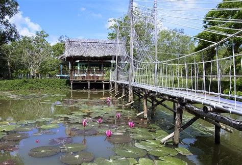 Bac Lieu Bird Sanctuary - Magnificent Nature Reserve