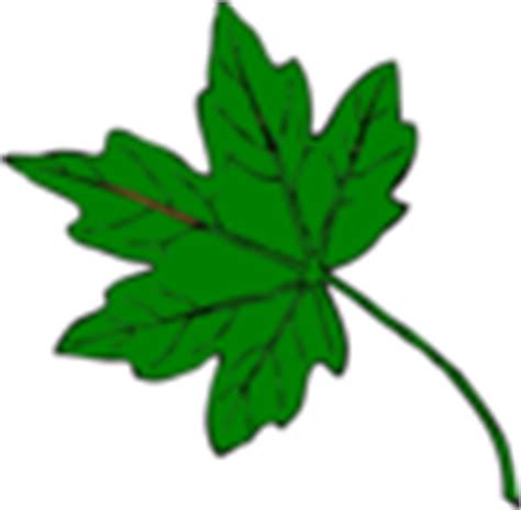 Maple Leaf Clip Art at Clker.com - vector clip art online, royalty free & public domain