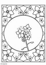 Coloring Page forget Me Not  Free Printables Img 5657 sketch template