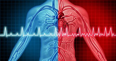 Atrial Fibrillation: Symptoms, Types, Causes, Diagnosis, Treatment ...