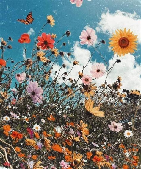 Ale🌹🍃 on Twitter | Flower aesthetic, Flowers, Aesthetic wallpapers