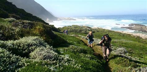 Four of the best hiking trails to explore in the Eastern Cape | Drive ...