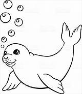Seal Coloring Pages  ColoringBay sketch template