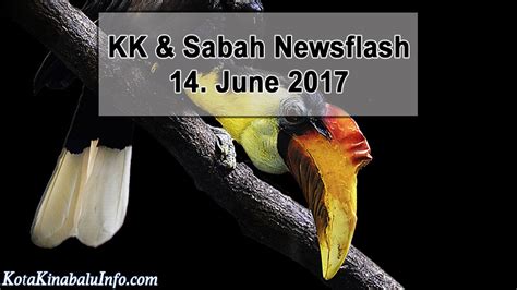 Sabah - More Protection for Endangered Wildlife | Kota Kinabalu Info