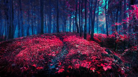 Red Nature Wallpapers on WallpaperDog