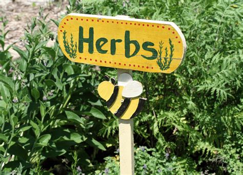 Benefits of Having a Herbal Garden in Urban Indian Homes - Home & Garden