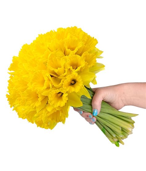 Spring Daffodil Bouquet at From You Flowers