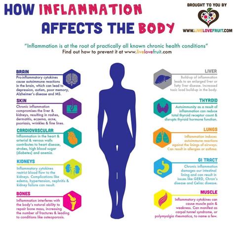 How To Reduce Arterial Inflammation - Computerconcert17