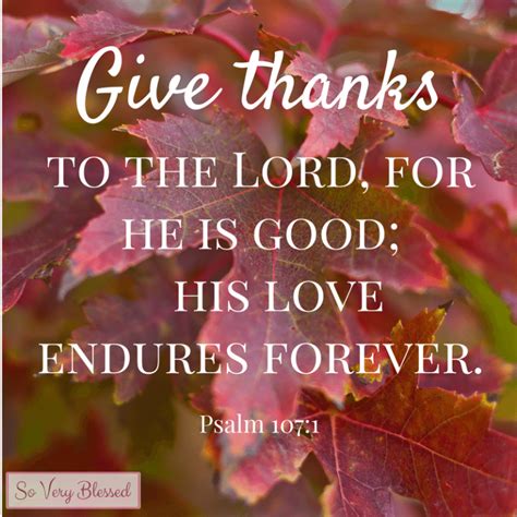 15 Bible Verses on Thankfulness