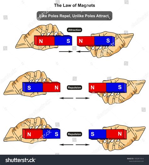 Law of Magnets Infographic แผนภาพแสดงตัวอย่างของเสาเหมือนที่มันดึงดูดใน ...