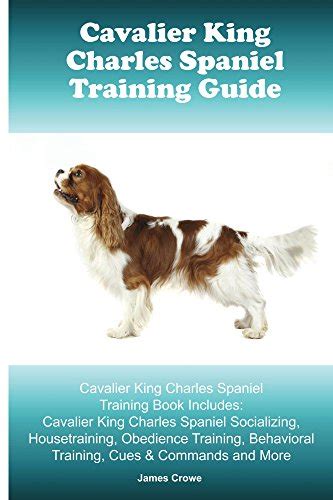 Cavalier King Charles Spaniel Training Guide. Cavalier King Charles ...