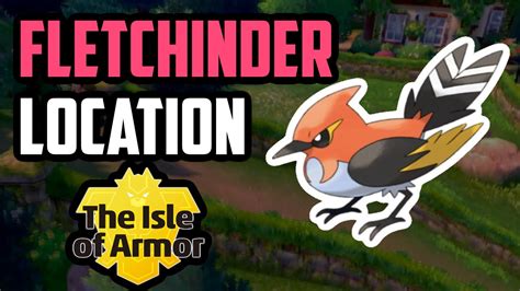 How to Catch Fletchinder - Pokemon Sword & Shield (DLC) - YouTube