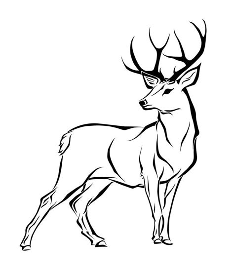 26+ Easy Simple Deer Drawing - DonnieCluan