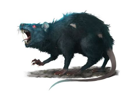 Giant Rat - Pathfinder 2E PFRPG PFSRD DND D&D 3.5 4E 5E 5th ed d20 fantasy | Creature artwork ...