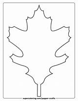 Red Oak Leaf Template  Free Printable Papercraft Templates sketch template