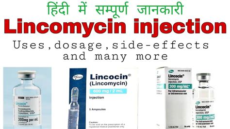 Lincomycin injection Uses, dosage, side-effects | Lynx injection | Lincocin injection | Hindi ...