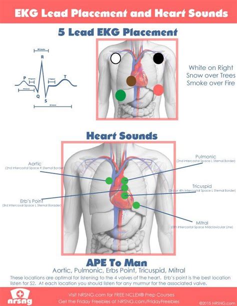 Nursing Pneumonics, College Nursing, Cardiac Nursing, Nursing School Studying, Nursing School ...