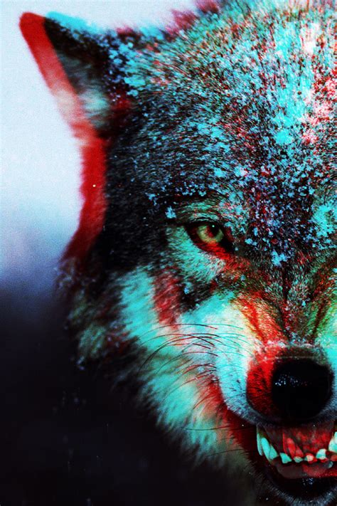 Alpha Wolf Wallpapers - Wallpaper Cave