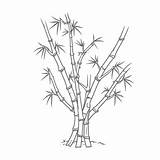 Bamboo Coloring Pages 2025 sketch template