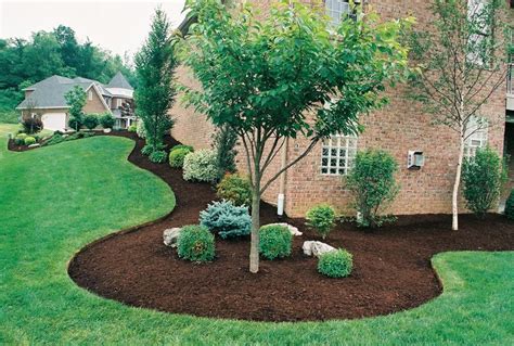 Image result for light brown mulch | Backyard landscaping, Mulch ...