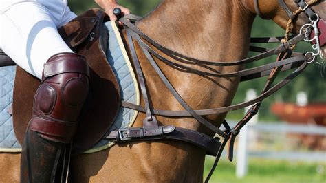 A beginner’s guide to saddles