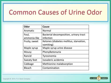 Can Ovarian Cysts Cause Urine Odor – Coach M Morris