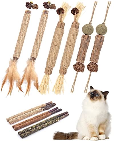 Your Cat Will Go Crazy for This Silvervine Toy - Discover the Best Cat ...