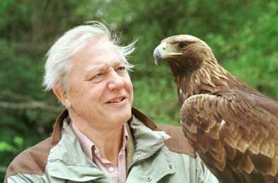 Biography Sir David Attenborough | Biography Online